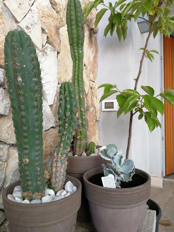 Bed and Breakfast Il Giardino Dei Limoni Aci Castello Zewnętrze zdjęcie